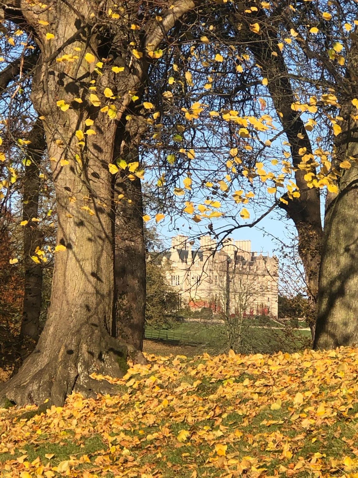 Oak Tree Cottage Stoke Rochford Buitenkant foto